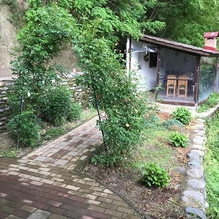 Jaktstuga Casa Toma Avrig